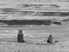 20180903DSC_1720