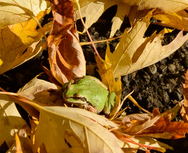 20171022DSC_9369