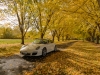 20171022DSC_9223