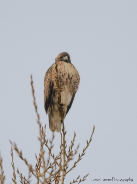 20190101DSC_1901