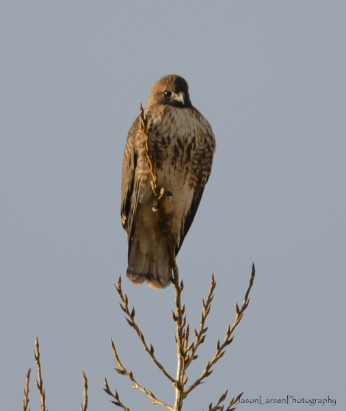 20190101DSC_1952