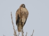 20190101DSC_1901