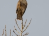 20190101DSC_1967