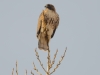 20190101DSC_1973