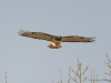 20190101DSC_1978