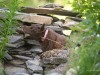 20260628-_DSC8262