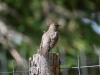 20260628-_DSC8269