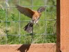 20260628-_DSC8291