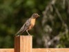 20260628-_DSC8295