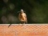 20260628-_DSC8297