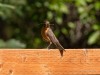 20260628-_DSC8315