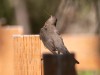 20260628-_DSC8322