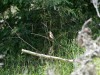 20260628-_DSC8345