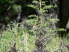 20260628-_DSC8363