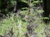 20260628-_DSC8368