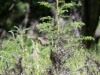 20260628-_DSC8372