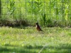 20260628-_DSC8380