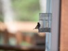 20260628-_DSC8421