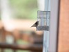 20260628-_DSC8437