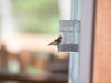 20260628-_DSC8441