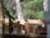 20260628-_DSC8448