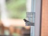 20260628-_DSC8454