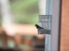 20260628-_DSC8456