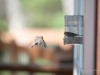 20260628-_DSC8462