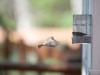 20260628-_DSC8463