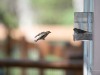 20260628-_DSC8466