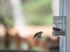 20260628-_DSC8467