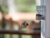 20260628-_DSC8468