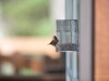 20260628-_DSC8482