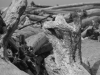20180627DSC_1391-Edit