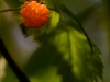 20180627DSC_1398