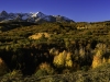 20221008_DSC7249-Pano