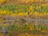 2012dsc_8989