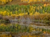 2012dsc_8990