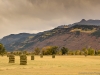 2012dsc_9030