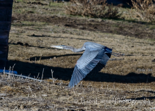 20140125dsc_1729