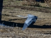20140125dsc_1729