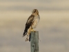 20140125dsc_1741