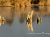 20140125dsc_1831