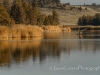 20140125dsc_1838