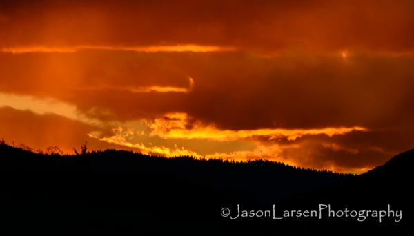 2013dsc_8736
