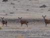 2013dsc_8741