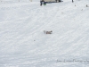 20170128DSC_4772