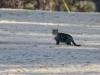 20140118dsc_1312