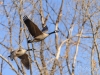 20140118dsc_1462