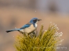 20140118dsc_1533